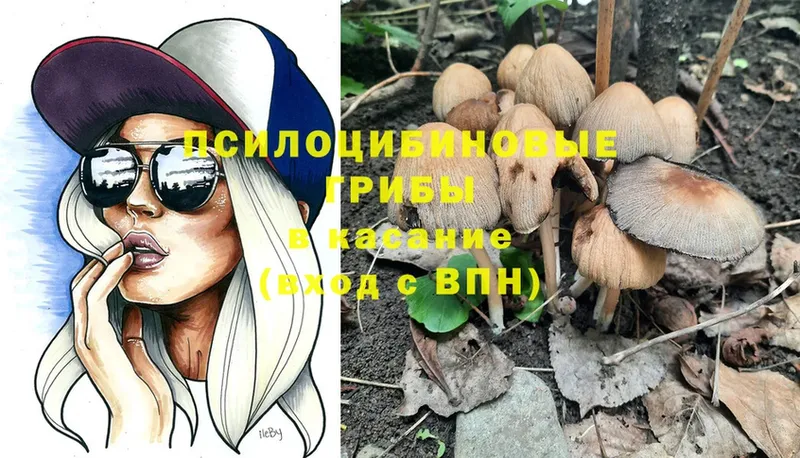 Галлюциногенные грибы MAGIC MUSHROOMS Бузулук